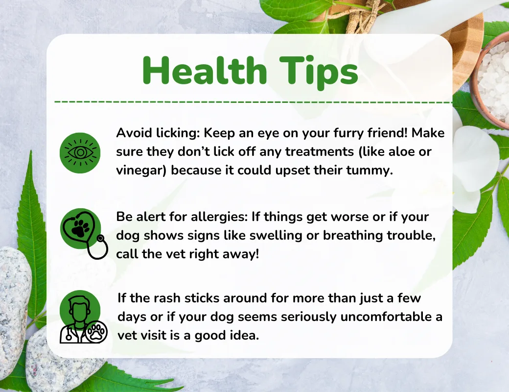 illustration of health dog tips